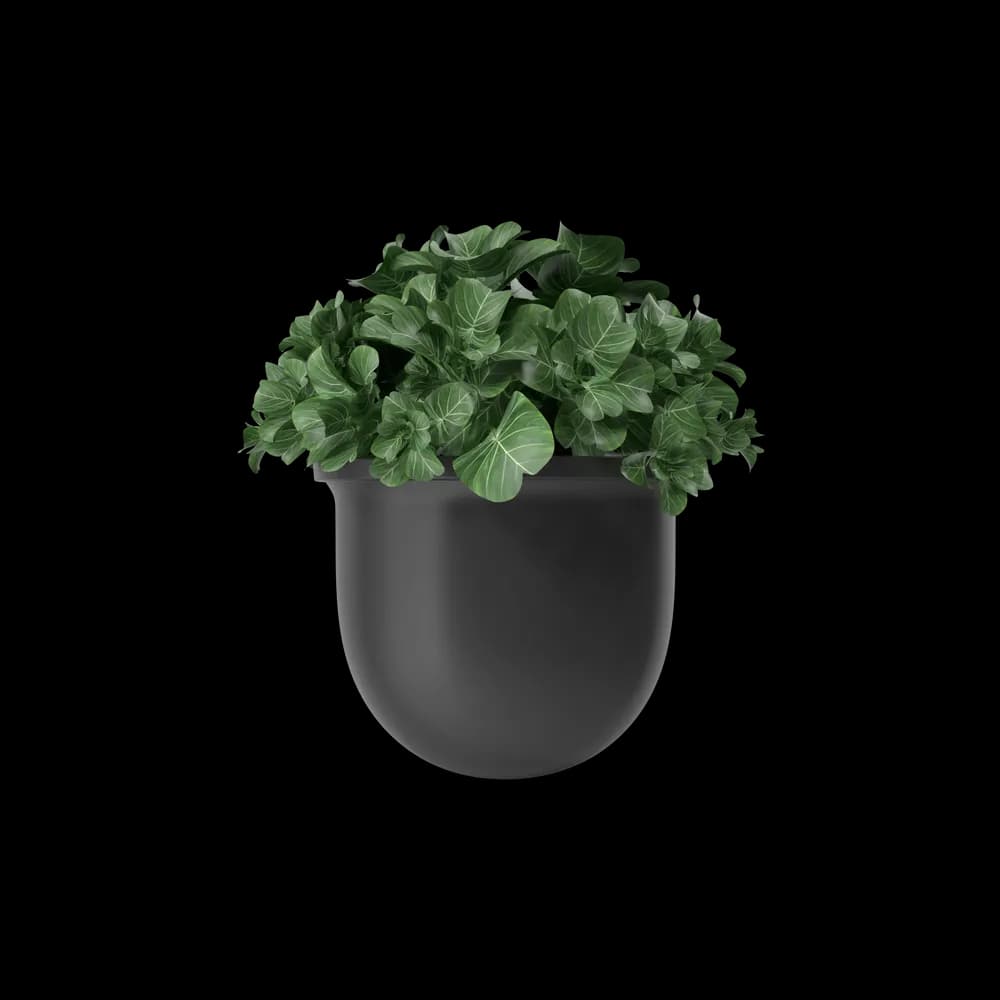 Plant Pot - Thumbnail 2