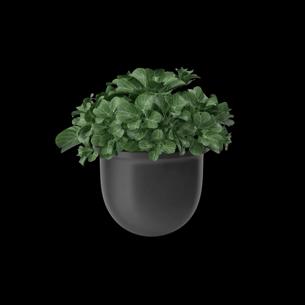 Plant Pot - View 1